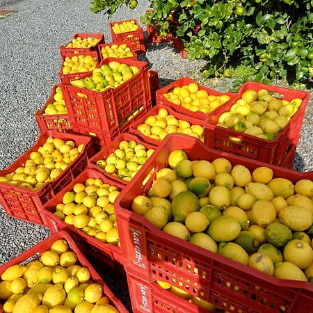 Profumo Di Zagara Acireale Βίλα Εξωτερικό φωτογραφία