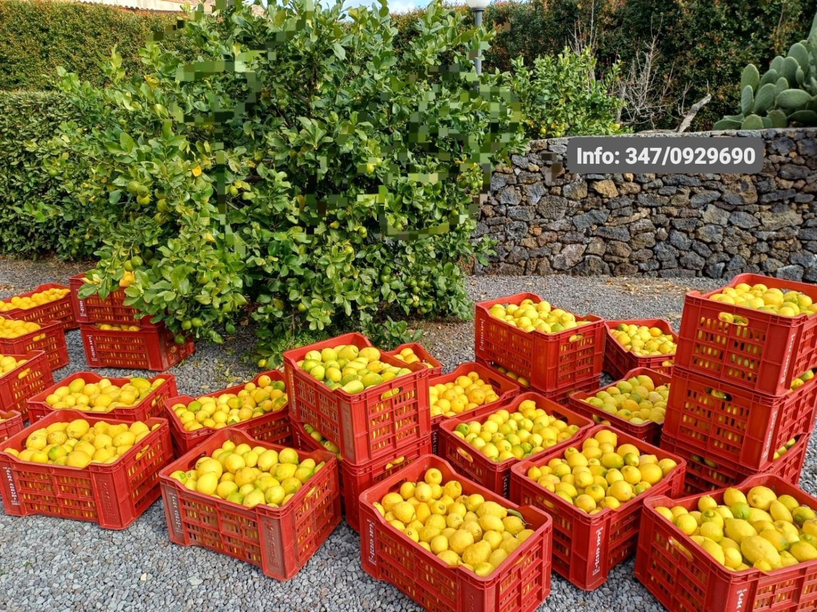 Profumo Di Zagara Acireale Βίλα Εξωτερικό φωτογραφία