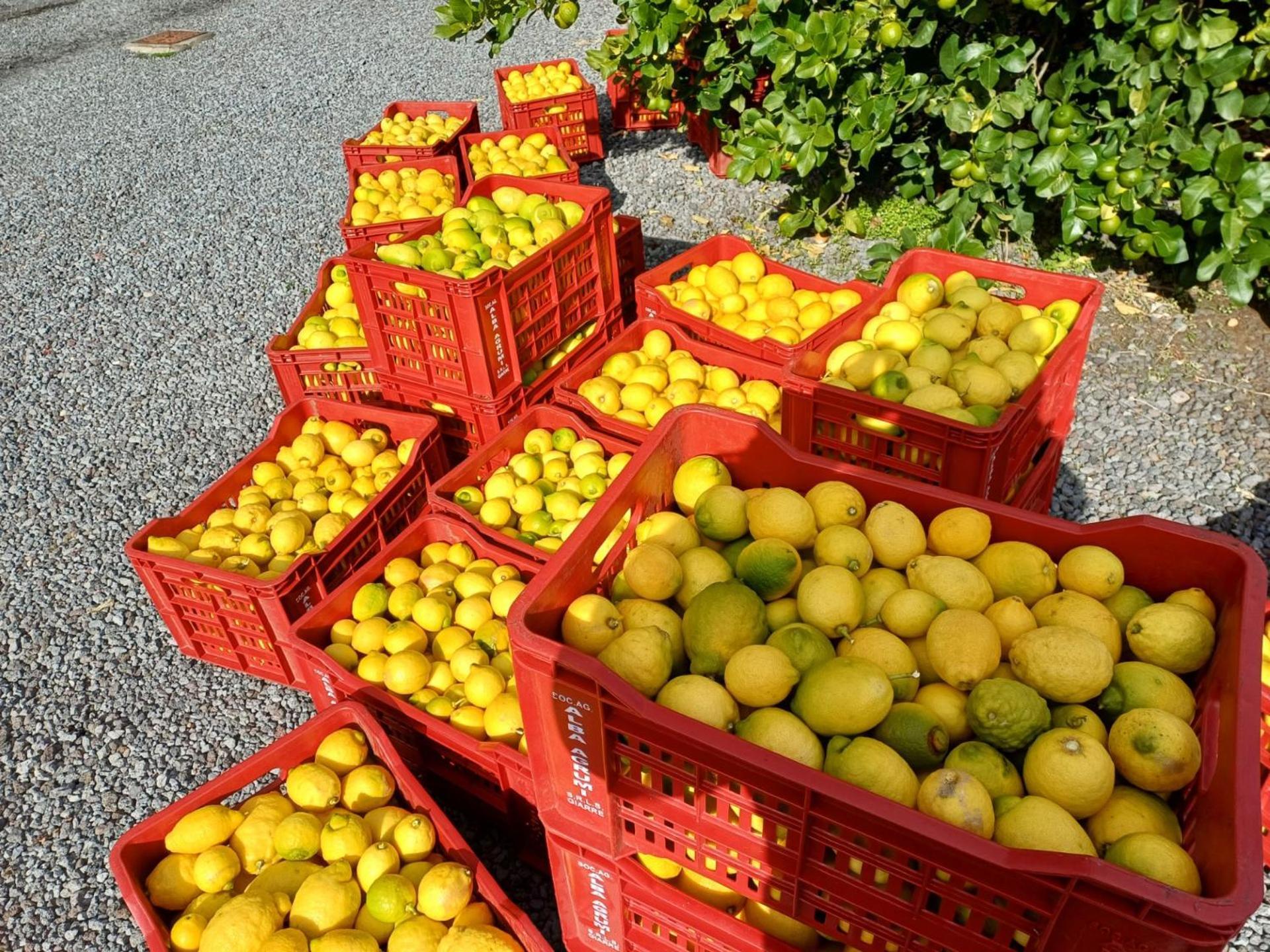 Profumo Di Zagara Acireale Βίλα Εξωτερικό φωτογραφία
